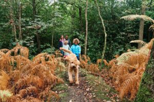 Family photograph with the dog running ahead on the path in Hayes Common