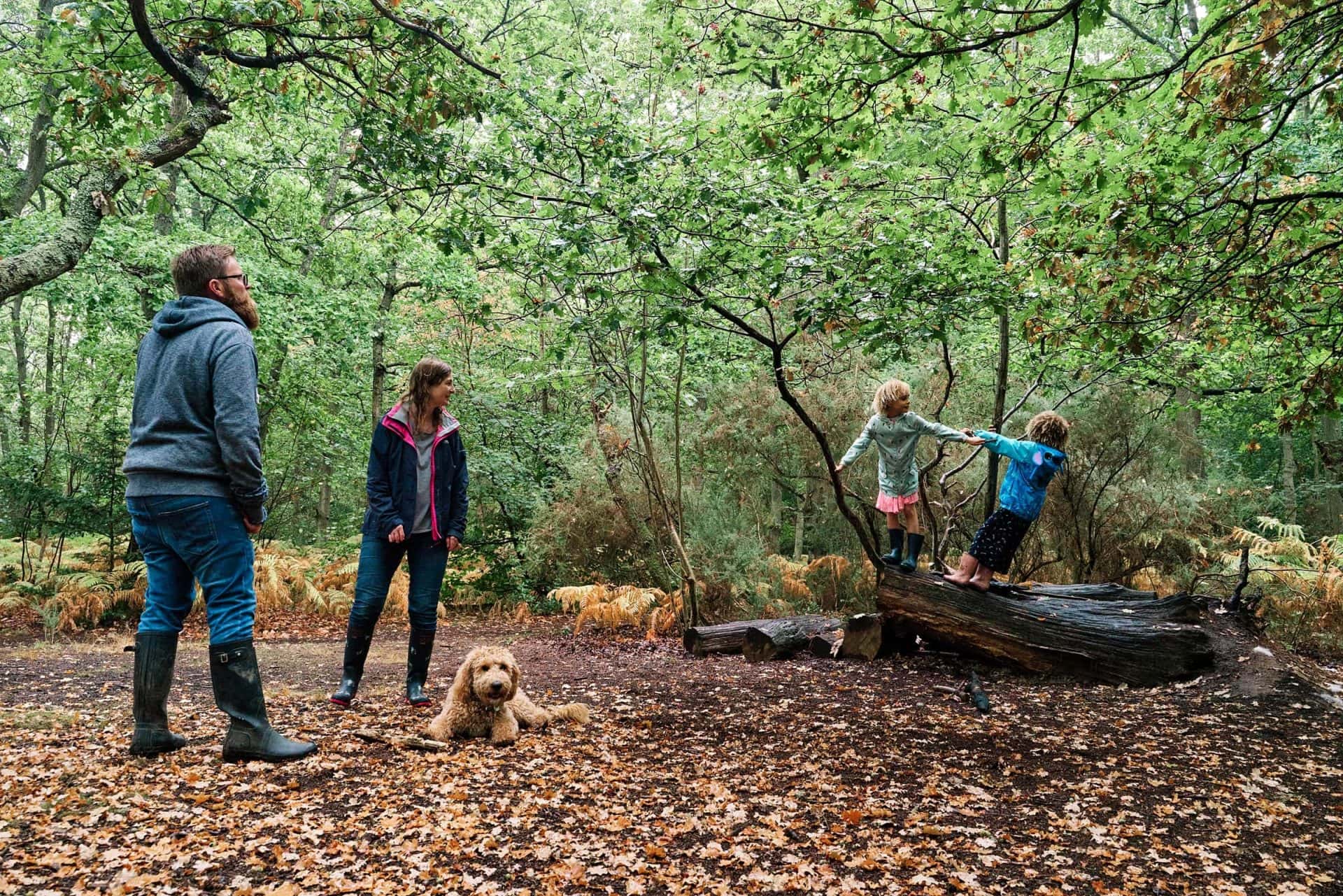 Parents watching the kids play on trees at Hayes Common in Bromley during a family photography photo shoot